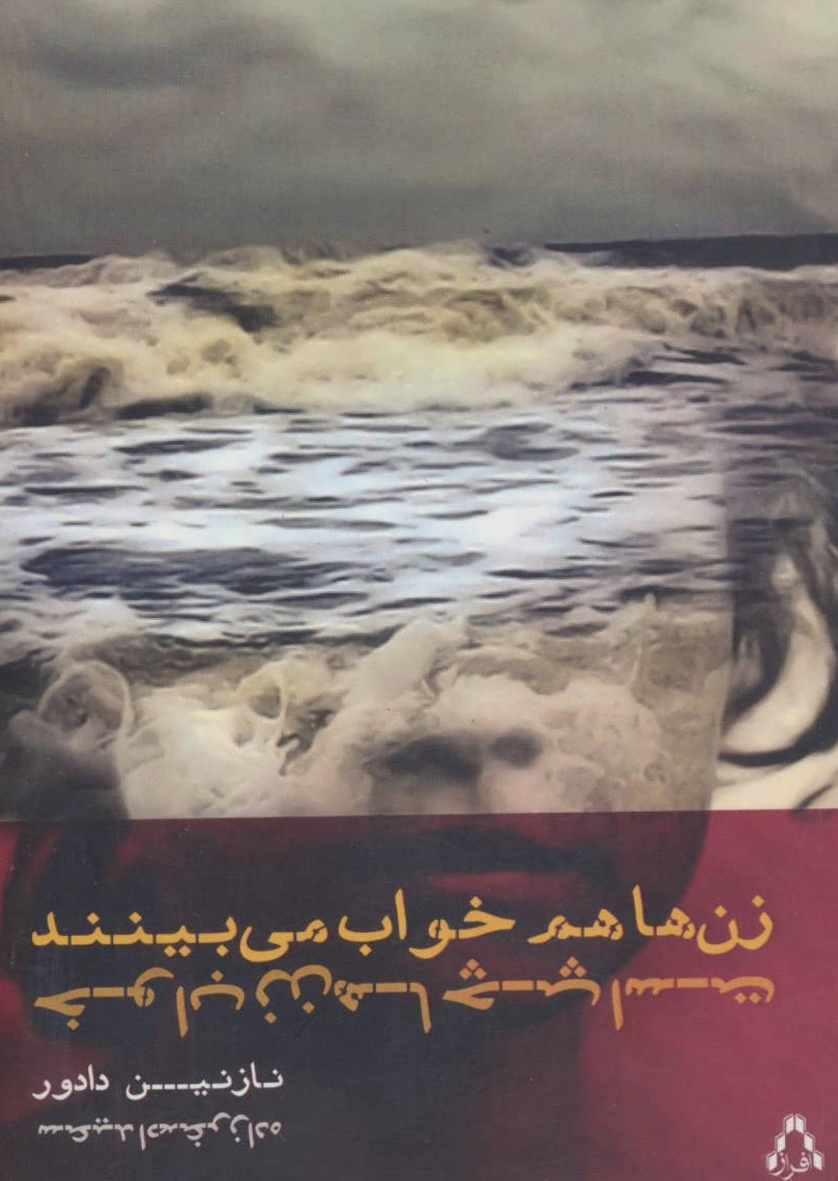 کتاب زن ها هم خواب میبینند خواب زن چپ است اثر نازنین دادور انتشارات فراز
