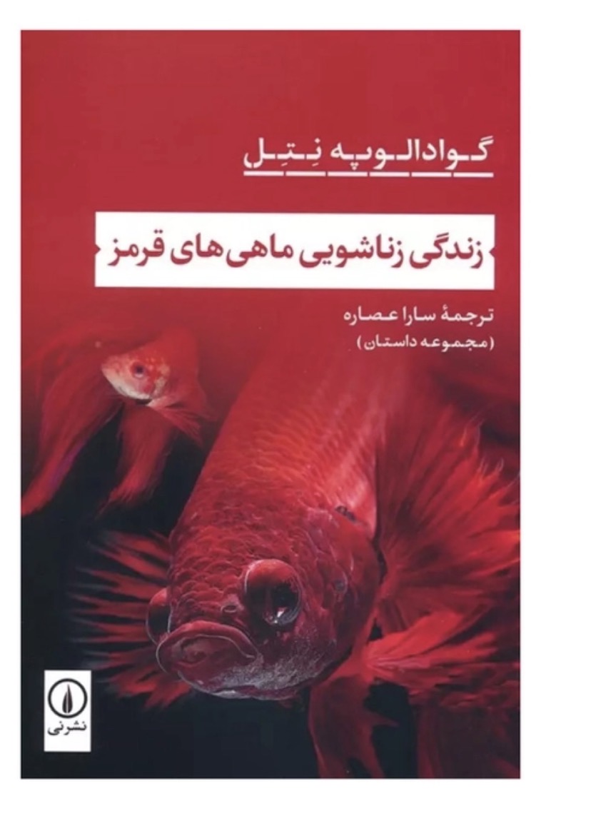 کتاب زندگی زناشویی ماهی های قرمز اثر گوادالوپه نتل نشر نی