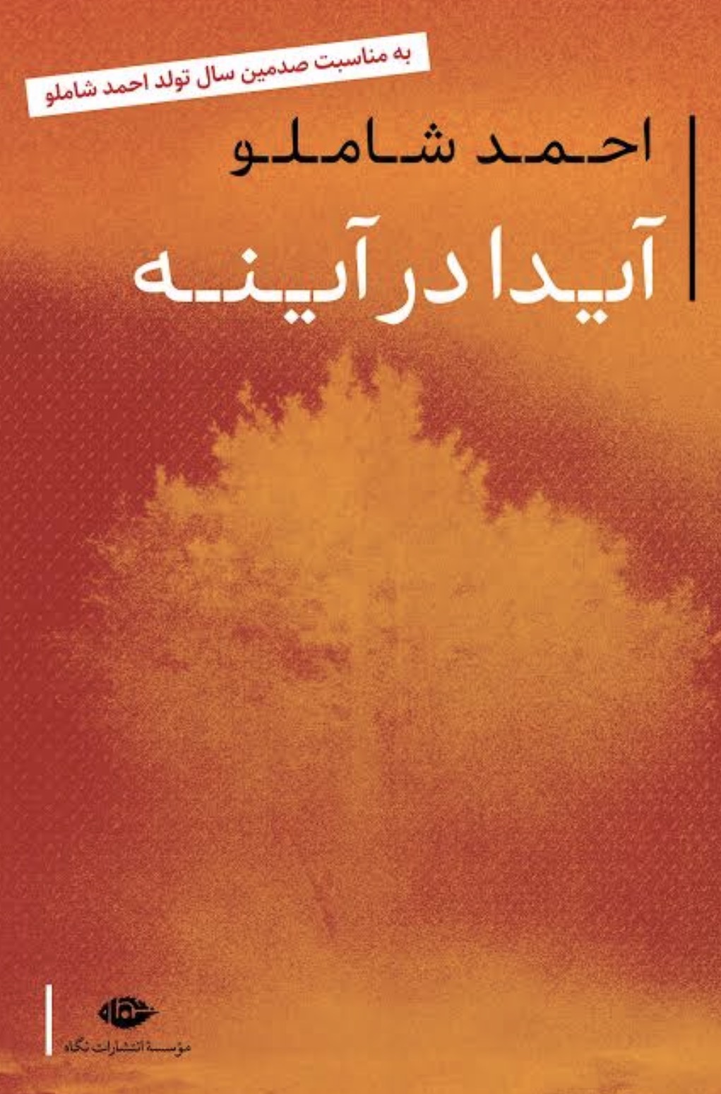 کتاب آیدا در آینه اثر احمد شاملو انتشارات نگاه